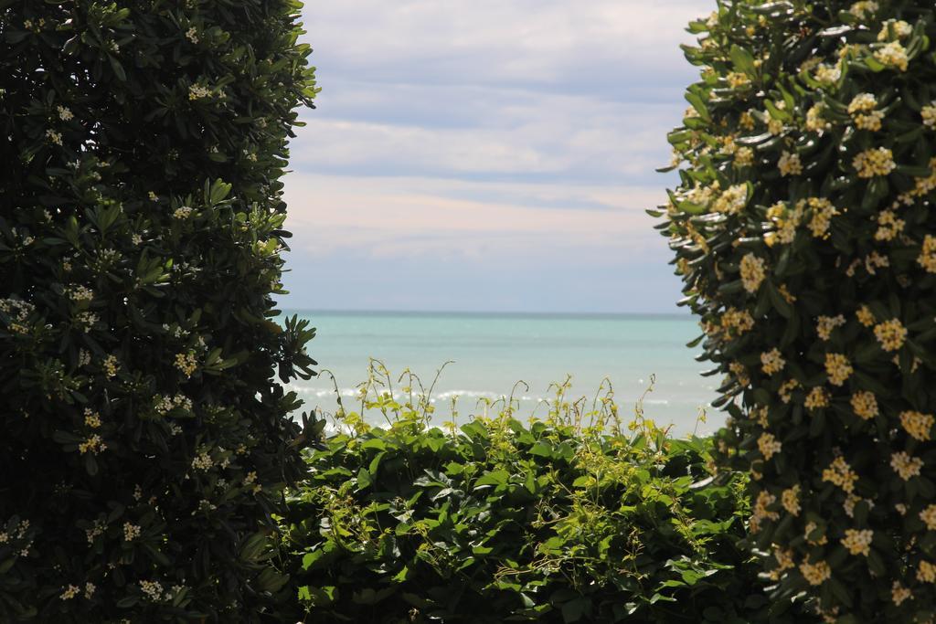 All'Etrusconia Hotel Castagneto Carducci Marina di Castagneto Carducci Exterior photo